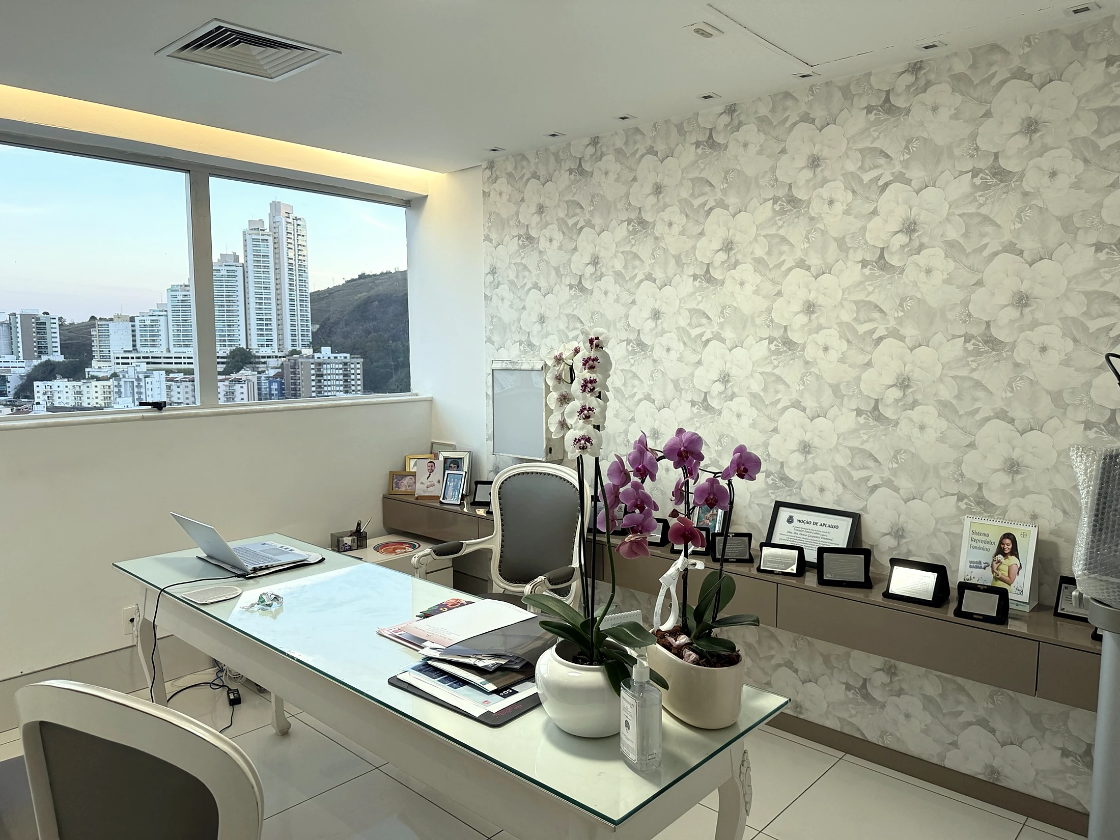 Sala de atendimento do consultório com mesa, orquídeas e vista de Juiz de Fora